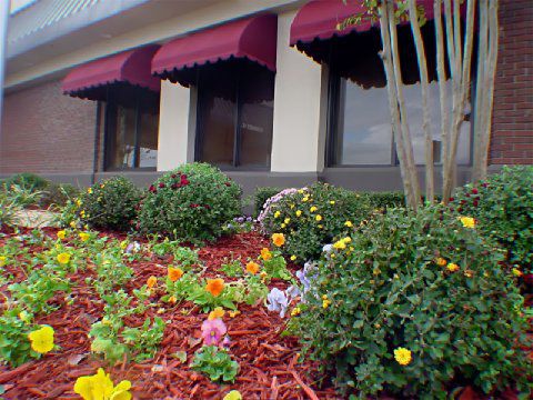 Holiday Inn Jonesboro Olanaklar fotoğraf